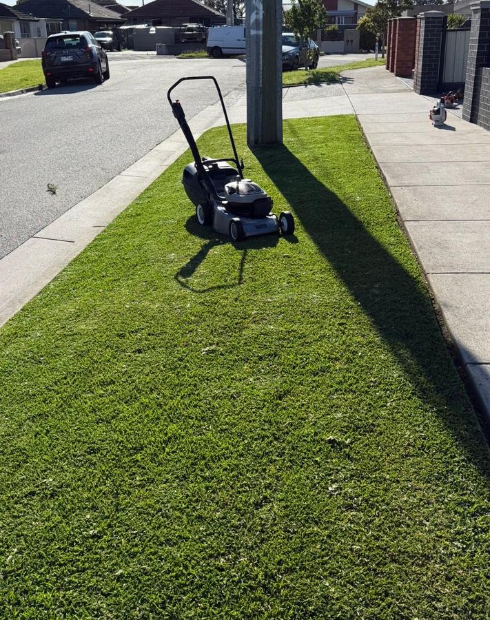 Mown lawn