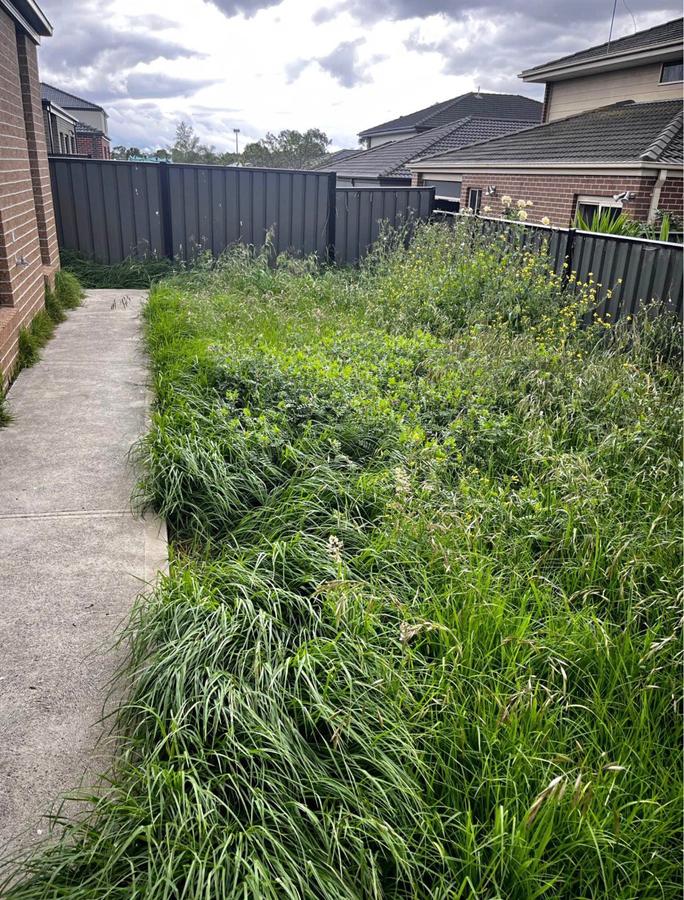 Lawn edging
