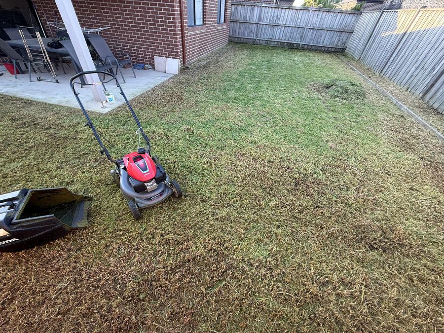 Fresh lawn