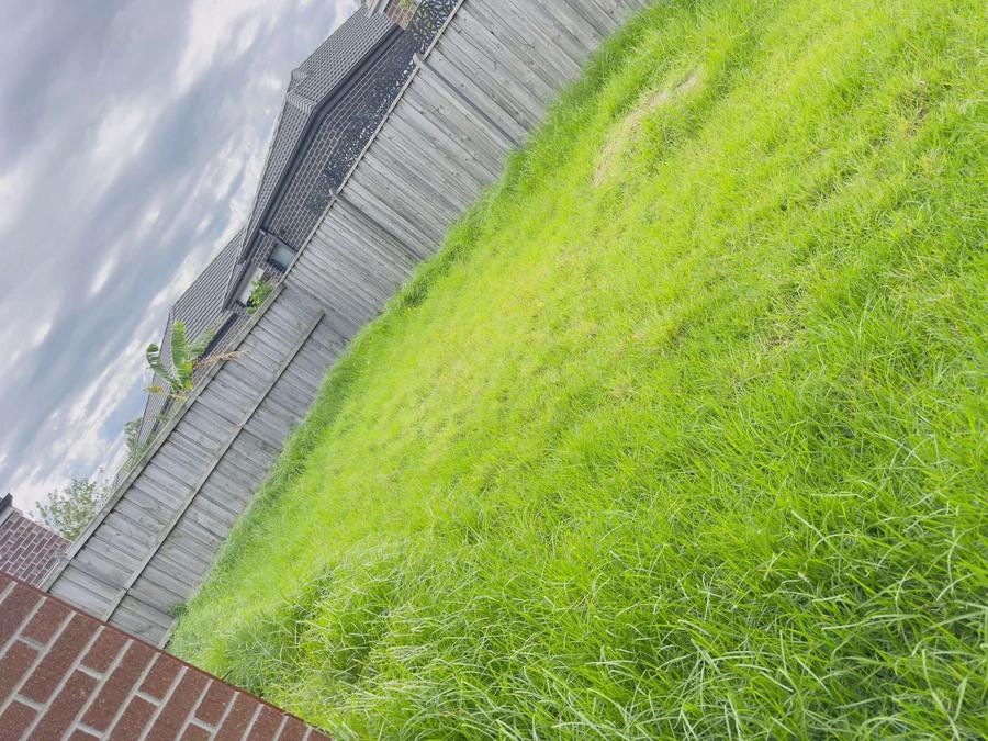 Lawn edging
